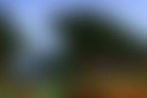 Фотография квеста-анимации Майнкрафт от компании Затейники (Фото 1)