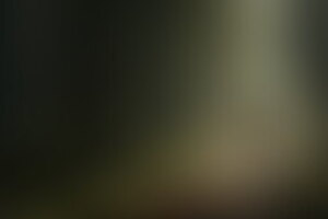 Фотография квеста Фрэнки. История одного маньяка от компании Лимбо (Фото 1)